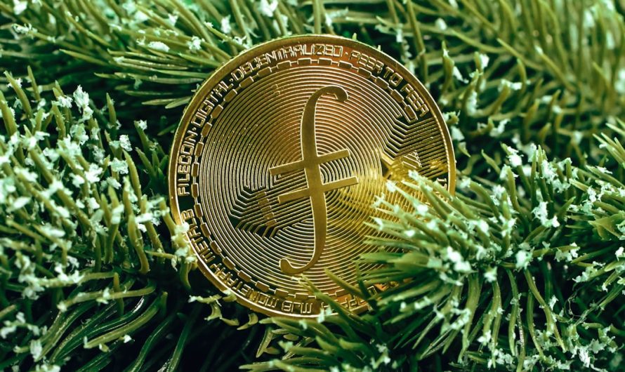 Платформы для создания торговых роботов